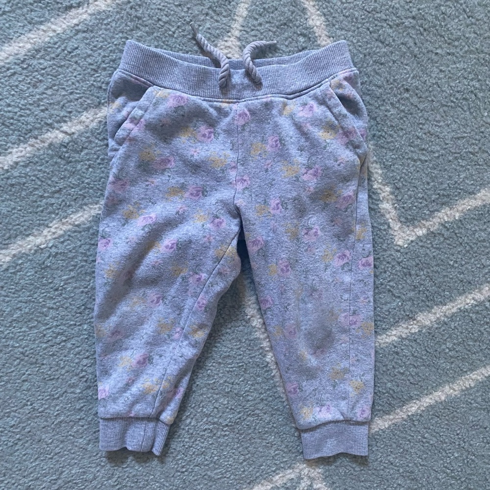 Janie and Jack Girls Sweatpants - 2T